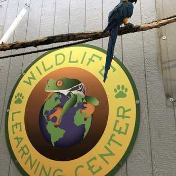 Wildlife Learning Center - Zoos Near Me - Sylmar, California Wildlife Learning Center - Zoos Near Me - Sylmar, California