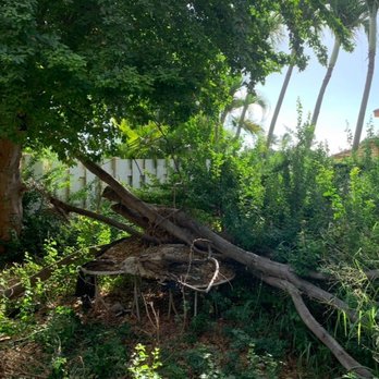 Estrada Landscape Services - Before - Landscaping Near Me