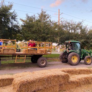 Family Farm - Fruits & Veggies Near Me - Davie, Florida Family Farm - Fruits & Veggies Near Me - Davie, Florida