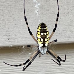 First Choice Pest & Termite 