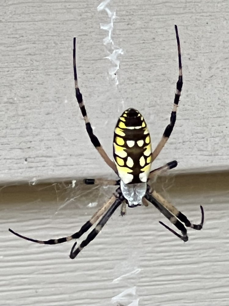 FIRST CHOICE PEST & TERMITE Updated September 2024 Fayetteville