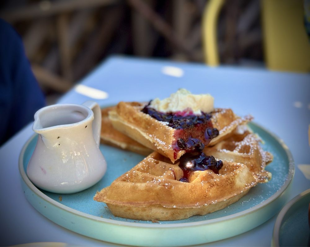 Sunflower Caffe