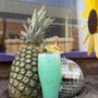 The Warp Zone Bar & Arcade