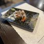 Photo of Sushi X