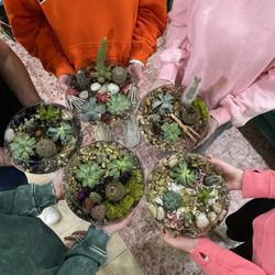 Abbott's Florist