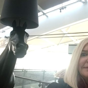 Heathrow Airport - Yes, the horse lamps wear hats here at Heathrow. - Airports Near Me - Hounslow, XGL