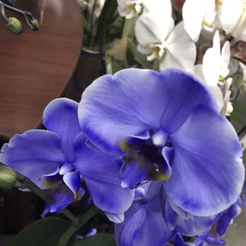 Safeway - Flowers - Grocery Near Me - Concord, California Safeway - Flowers - Grocery Near Me - Concord, California