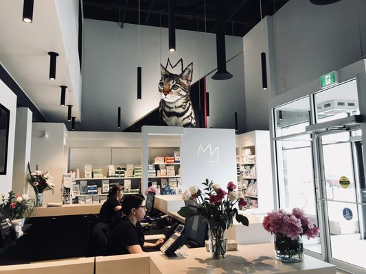 Clinique Veterinaire Lasalle Veterinarians 70 Boulevard Champlain Lasalle Qc Phone Number