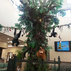 Norman Pediatric Associates - Huge tree with lots of stuffed animals in the lobby.  My son loved it.