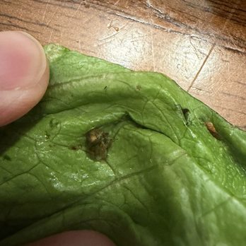 Chicken Salad Chick - Bug - Chicken Shop Near Me - Greenville, North Carolina