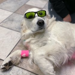 Stonecreek Animal Hospital, A Thrive Pet Healthcare Partner