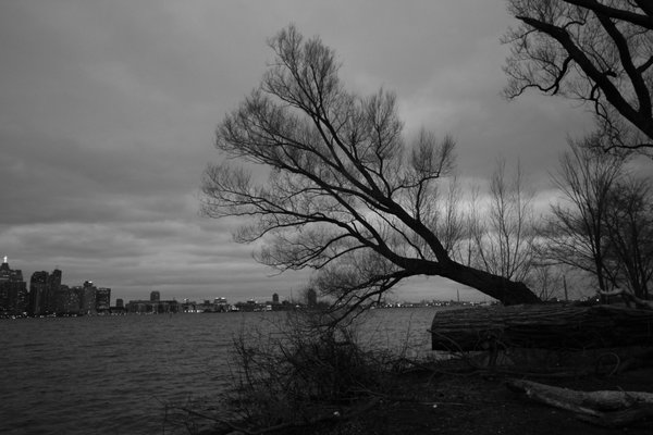 Toronto Island Park Olympic Island by null