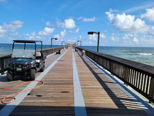 Gulf State Park Pier by null