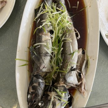 Koi Palace - 2 steamed fish - Dim Sum Near Me - Daly City, California
