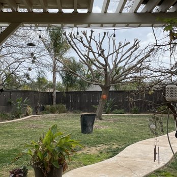 Vicente Tree Services and Landscape - Landscaping Near Me Vicente Tree Services and Landscape - Landscaping Near Me