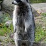 Photo of Tierpark Wismar