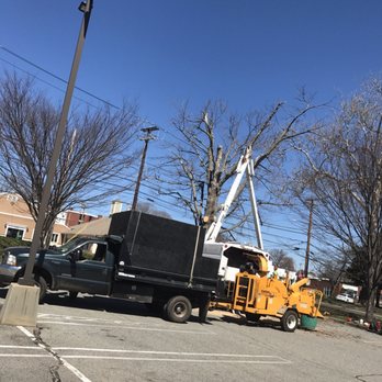 Bogan's Tree Service - Tree Services Near Me Bogan's Tree Service - Tree Services Near Me