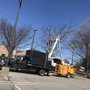 Photo of Bogan's Tree Service