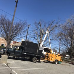 Bogan's Tree Service