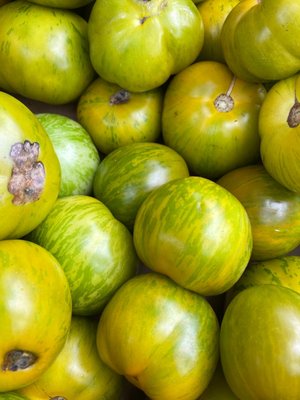 Down to Earth McGolrick Park Farmers Market by null