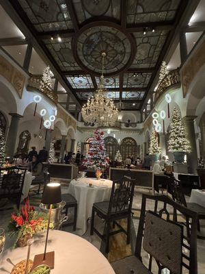 Winter Garden Bar by null