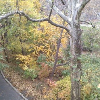 Morningside Park - Parks Near Me - New York, New York Morningside Park - Parks Near Me - New York, New York
