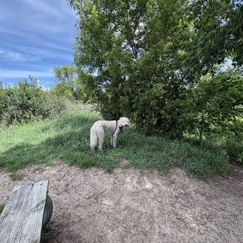 Rice Creek Off-Leash Dog Area - June 2026 - Dog Parks Near Me - Shoreview, Minnesota Rice Creek Off-Leash Dog Area - June 2026 - Dog Parks Near Me - Shoreview, Minnesota
