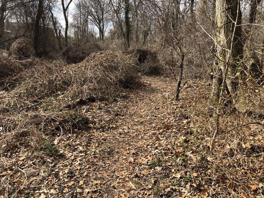 VALLEY STREAM STATE PARK 69 Photos & 16 Reviews Parks Valley