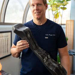 Active Rest Chiropractic