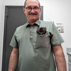 AAA Animal Hospital