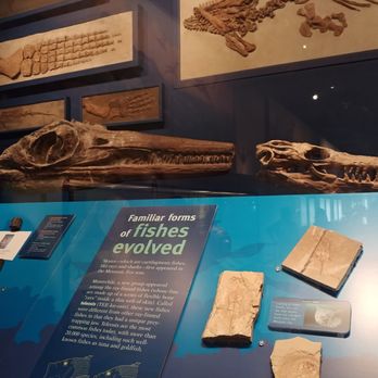 Field Museum - Museums Near Me - Chicago, Illinois