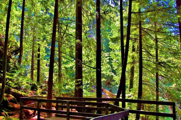 Twin Falls Trailhead by null