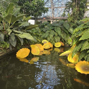 Garfield Park Conservatory - Parks Near Me - Chicago, Illinois Garfield Park Conservatory - Parks Near Me - Chicago, Illinois