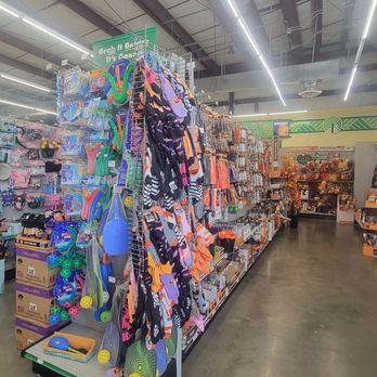 Dollar Tree - Stocked shelves with plenty of products - Discount Store Near Me - Orlando, Florida