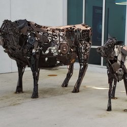 BayCare HealthHub - Bloomingdale - Nice artwork at the main entrance
