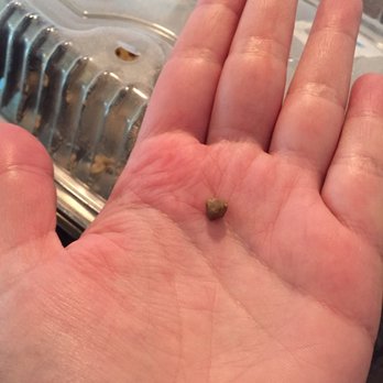 El Torito - Pebble in the rice :/ did not feel good to bite down on. - Mexican Near Me - Riverside, California
