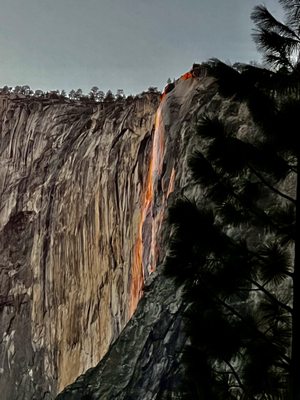 Yosemite National Park by null