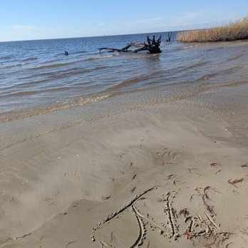 Fontainebleau State Park - Parks Near Me - Mandeville, Louisiana