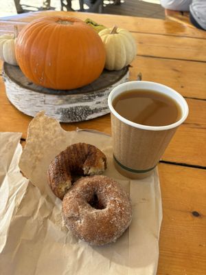 Cider Bellies Doughnuts by null