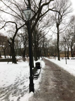 Loyalist Burial Ground by null