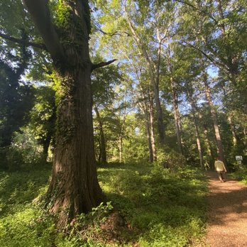 Johnson Dean Forest Park - Parks Near Me - Norcross, Georgia Johnson Dean Forest Park - Parks Near Me - Norcross, Georgia
