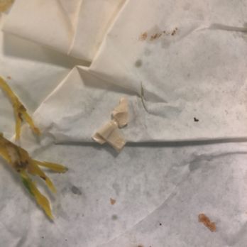Subway - a broken piece of paper with a bird on it - Sandwiches Near Me - Minneapolis, Minnesota