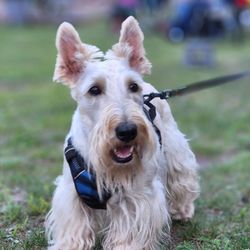 Guthrie Plumbing Services