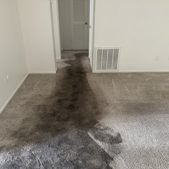 Classic Carpet Care - 6month carpet 2 large dogs - Carpet Cleaning Near Me - Tracy, California