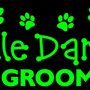 Photo of Little Darlin's Pet Grooming