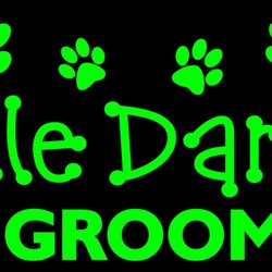 Little Darlin's Pet Grooming - 828-246-9551