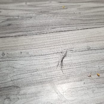SpeedyCleans - Home Cleaning Near Me - Brighton, Michigan