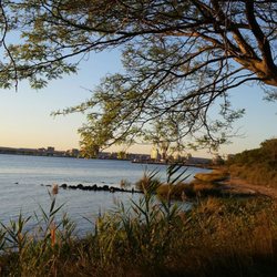 East Shore Park - Beautiful spot to watch the sunset