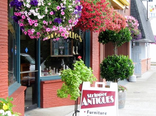 The Stripper Antiques