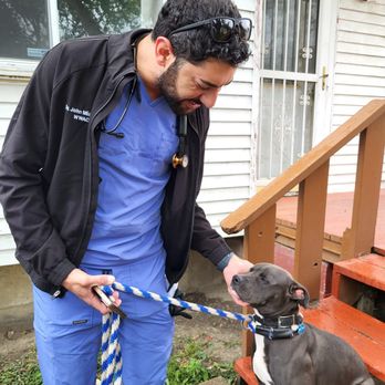 Peaceful Paws At Home Care - Pet Hospice Near Me - Ferndale, Michigan Peaceful Paws At Home Care - Pet Hospice Near Me - Ferndale, Michigan